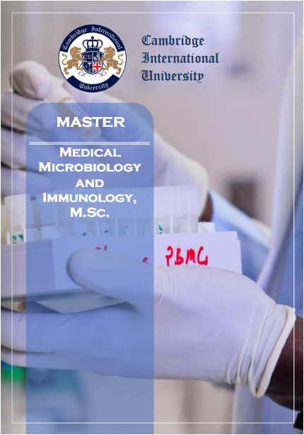 m_m_i_msc
